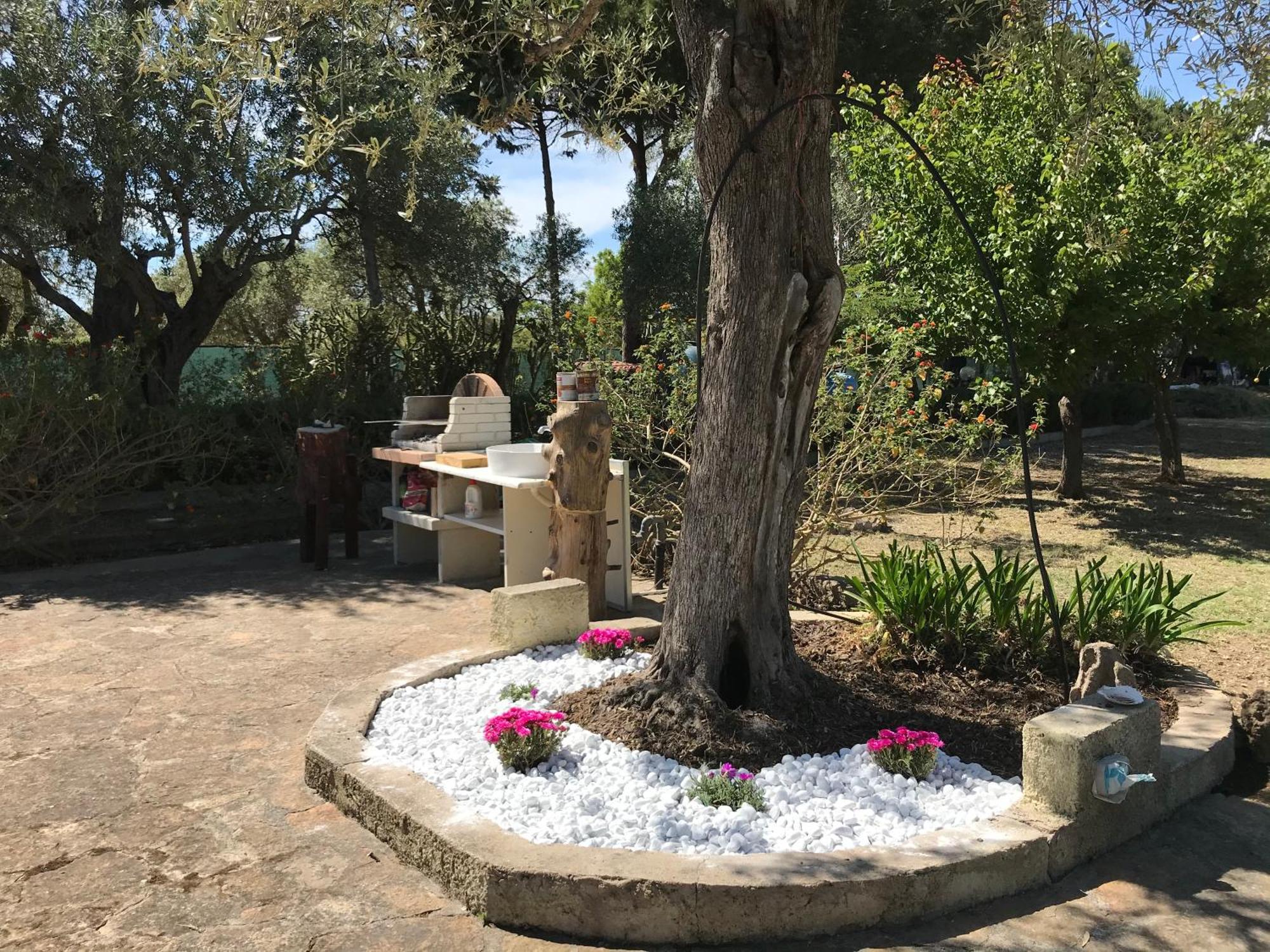 Butterfly House Bed & Breakfast Alghero Exterior foto