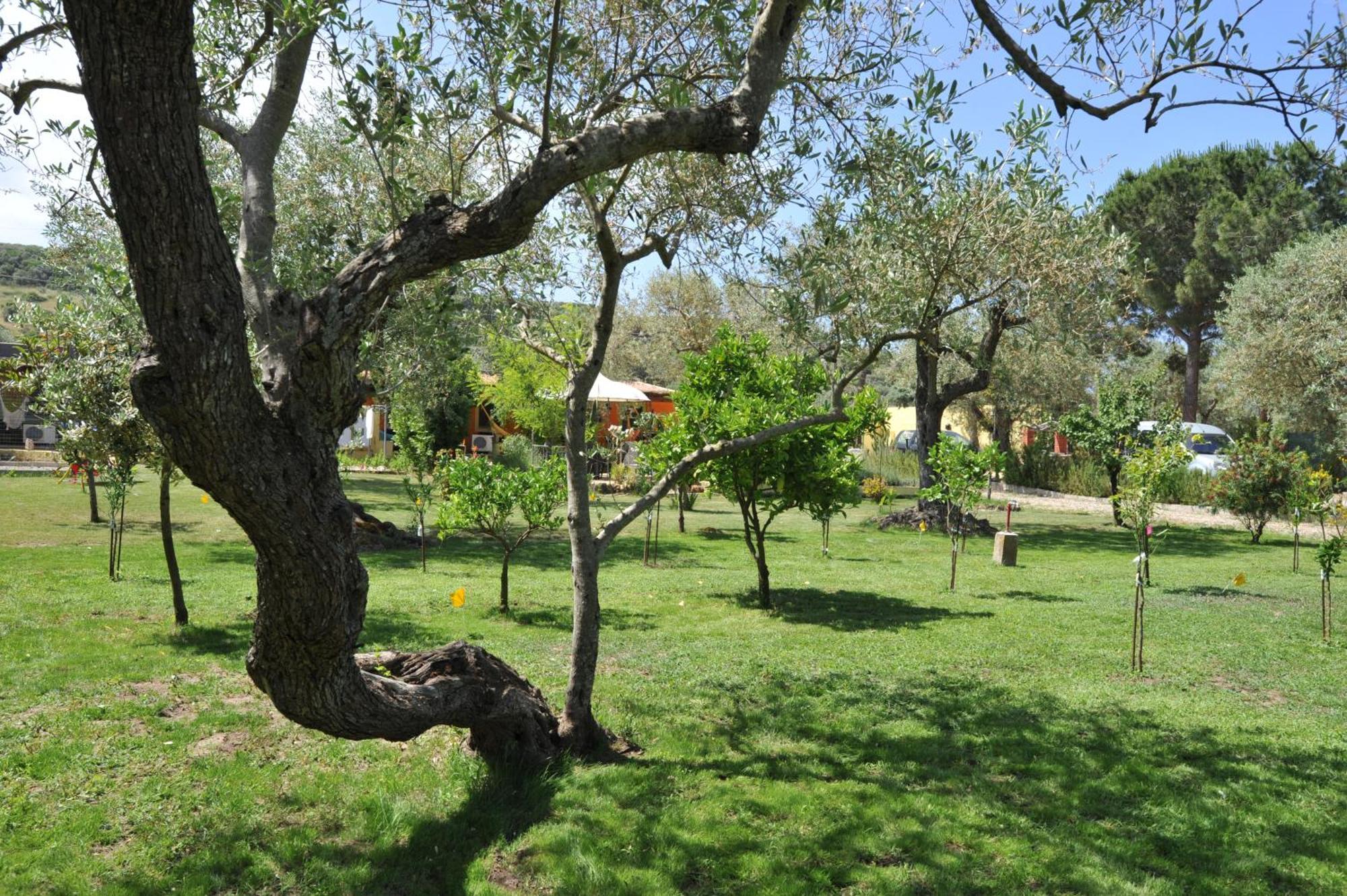 Butterfly House Bed & Breakfast Alghero Exterior foto