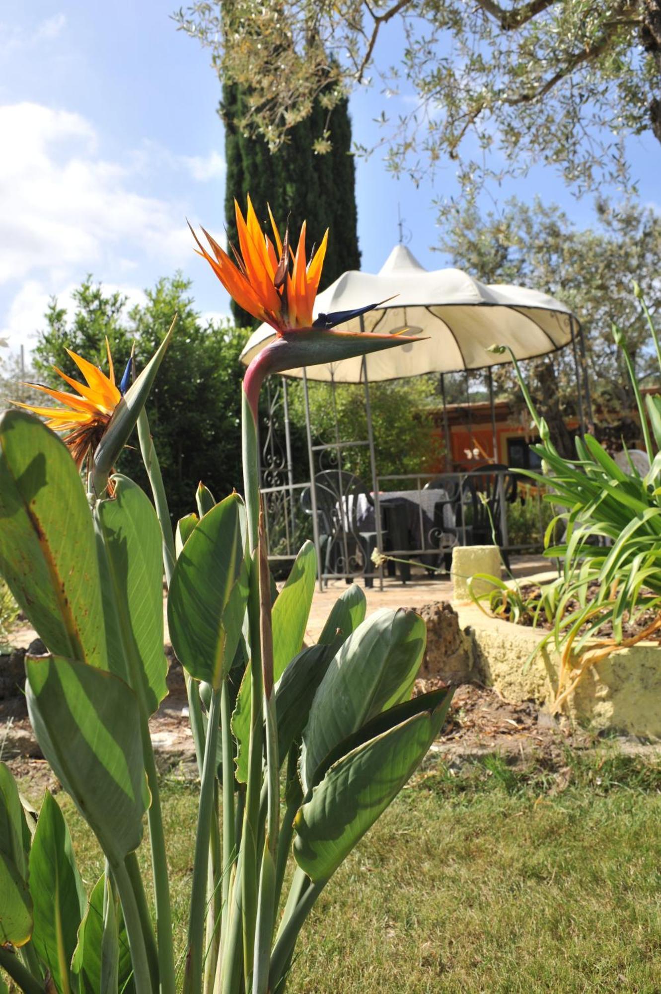 Butterfly House Bed & Breakfast Alghero Exterior foto